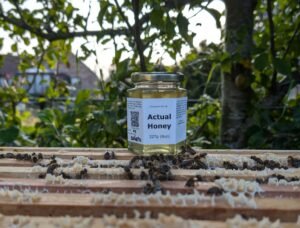 Honey